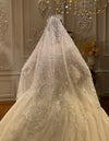 NS4827 veil