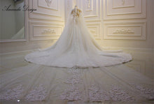  Amanda Design Luxury Lace Appliqued Shiny Long Veil 2023